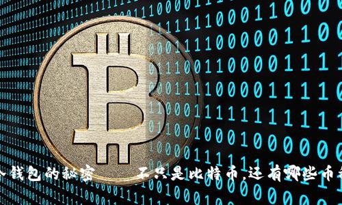 专家揭晓：冷钱包的秘密 – 不只是比特币，还有哪些币种适合存储？