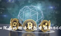 专家揭秘：如何在比特币钱包中领取BCC的独家秘