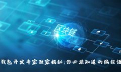 区块链钱包开发专家独家揭秘：你必须知道的编