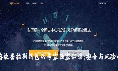比特币存放普拉斯钱包的专家独家秘诀：安全与风险的全解析