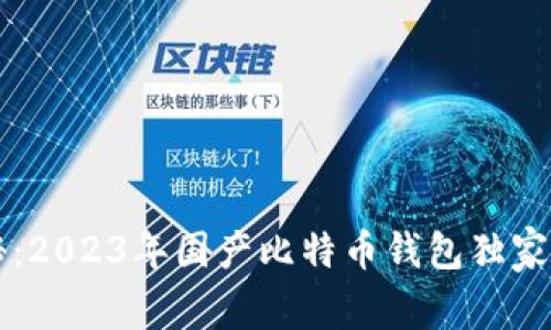 专家揭秘：2023年国产比特币钱包独家使用秘诀