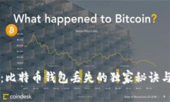 专家揭秘：比特币钱包丢失的独家秘诀与解决方