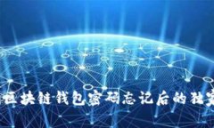 专家揭秘：区块链钱包密码忘记后的独家解决秘