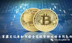 专家揭秘：苹果笔记本如何安全高效管理比特币