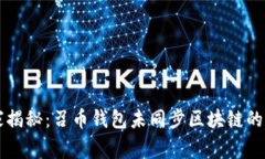 专家独家揭秘：召币钱包未同步区块链的解决秘