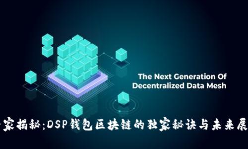 专家揭秘：DSP钱包区块链的独家秘诀与未来展望