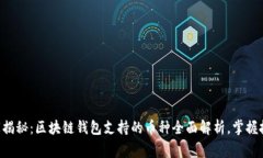 专家独家揭秘：区块链钱包支持的币种全面解析