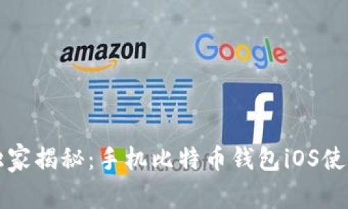 专家独家揭秘：手机比特币钱包iOS使用秘诀