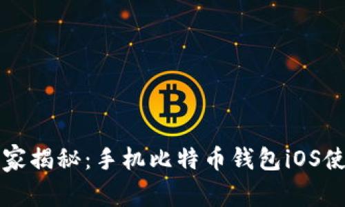 专家独家揭秘：手机比特币钱包iOS使用秘诀