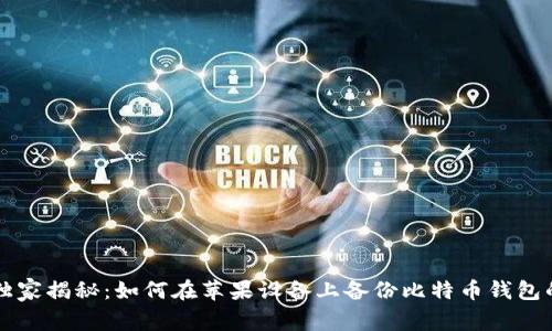 专家独家揭秘：如何在苹果设备上备份比特币钱包的秘诀